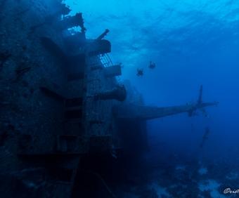 Buceo Mar Rojo • Blue Whale Dive